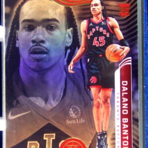 2021-22 Illusions Dalano Banton RC #192 Raptors