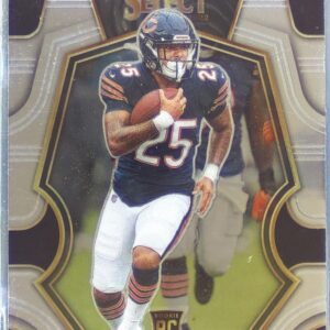 2022 Select Trestan Ebner RC #119 Bears