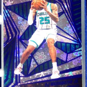 2023-24 Panini Revolution PJ Washington Jr. Winter #46 Hornets