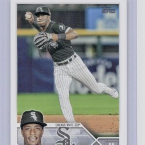 2023 Topps Chicago White Sox Tim Anderson #282 White Sox