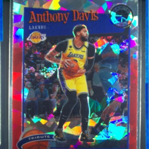 2019-20 Hoops Premium Stock Anthony Davis Prizms Red Cracked Ice #294 Lakers