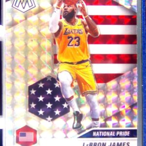 2020-21 Mosaic LeBron James National Pride Silver #247 Lakers