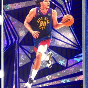 2023-24 Panini Revolution Aaron Gordon Winter #20 Nuggets