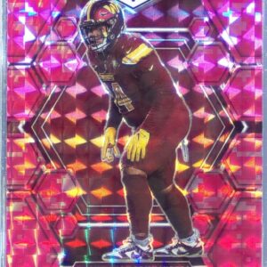 2023 Mosaic Daron Payne Camo Pink Mosaic #247 Commanders