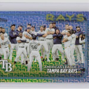 2024 Topps Tampa Bay Rays Holiday #211 Rays