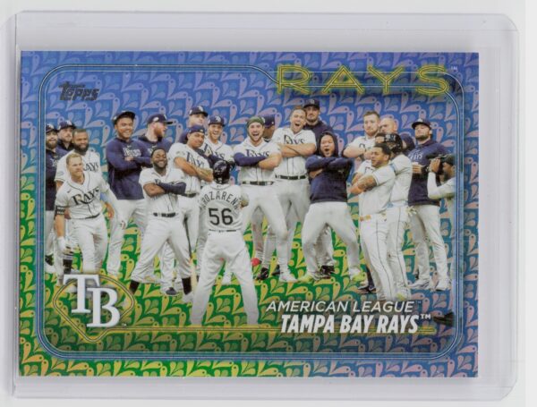 2024 Topps Tampa Bay Rays Holiday #211 Rays