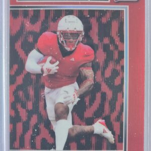 2025 Leaf Pro Set Metal Noah Rogers 1/1 Pre-Production Proof