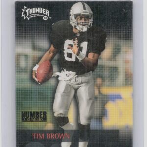 1998 SkyBox Thunder Tim Brown #3NC Raiders Number Crushers