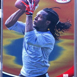 2013 SAGE DeAndre Hopkins /199 #SP20 Tigers