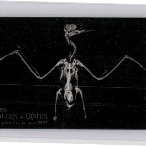 2024 Topps Allen & Ginter Inca Tern #XR-18 X ray'd