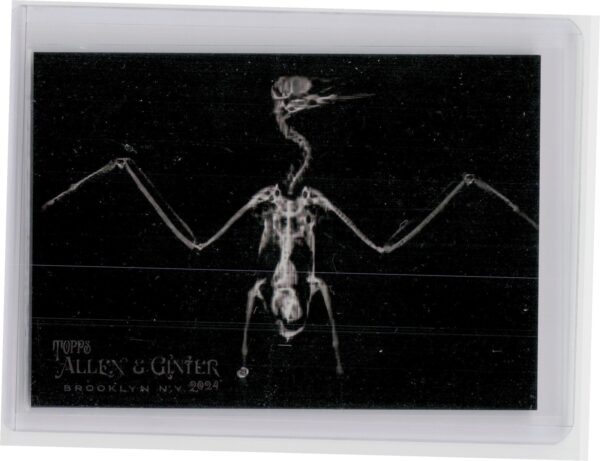 2024 Topps Allen & Ginter Inca Tern #XR-18 X ray'd