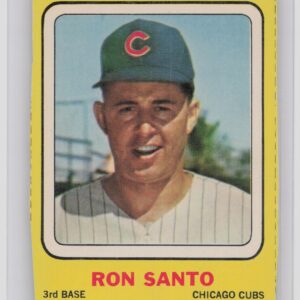 1969 Transogram Statues Cards Ron Santo #NNO Cubs RARE