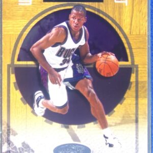 2001-02 Hoops Hot Prospects Ray Allen #65 Bucks