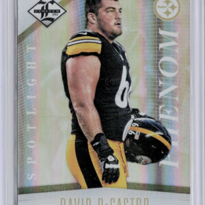 2012 Panini Limited David DeCastro Gold Spotlight #165 Steelers