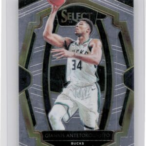 2018-19 Select premier level Giannis Antetokounmpo #120 Bucks