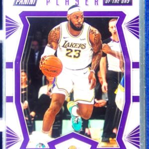 2019-20 Panini Player of the Day LeBron James #13 Lakers