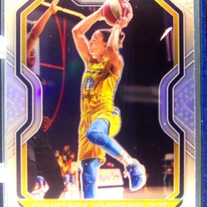 2021-22 Panini Prizm WNBA Courtney Vandersloot Prizms Silver #10 Sky