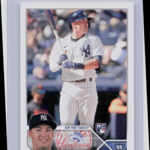 2023 Topps Anthony Volpe #460 Yankees Factory Set Bonus: Rookie Variations
