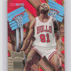 1995-96 Hoops Dennis Rodman #SL8 Bulls Slamland