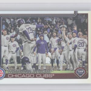2025 Topps Chicago Cubs Rainbow Foil #60 Cubs