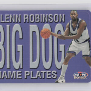 1999-00 Hoops Glenn Robinson #6NP Bucks Name Plates
