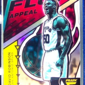 2020-21 Panini Flux David Robinson #13 Spurs Flux Appeal