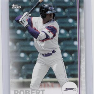 2019 Topps Pro Debut Luis Robert #102 Dash