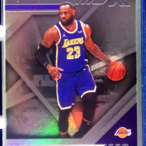 2020-21 Chronicles LeBron James #289 Lakers