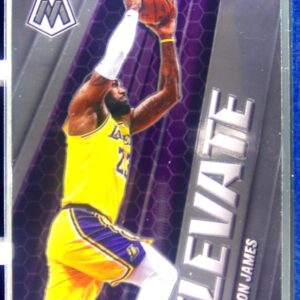 2020-21 Mosaic LeBron James #23 Lakers Elevate
