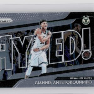 2018-19 Prizm Giannis Antetokounmpo #8 Bucks Get Hyped! Silver