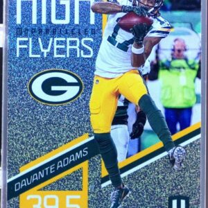 2019 Unparalleled Davante Adams #HF-DA Packers High Flyers