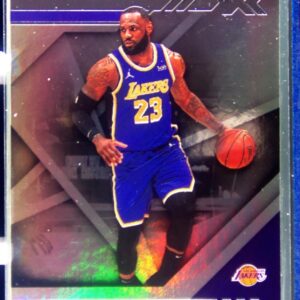 2020-21 Chronicles LeBron James #289 Lakers