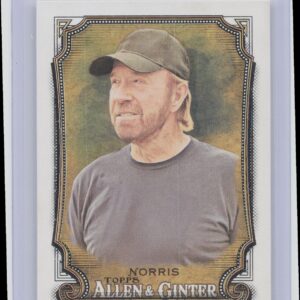 2024 Topps Allen & Ginter Chuck Norris #255
