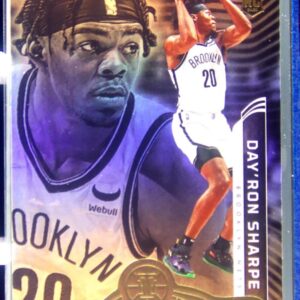 2021-22 Illusions Day'Ron Sharpe RC #179 Nets