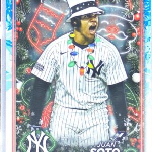 2024 Topps Holiday Juan Soto SP VAR Top Hat #H162 Yankees