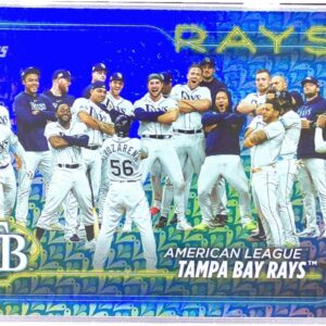 2024 Topps Tampa Bay Rays Holiday #211 Rays
