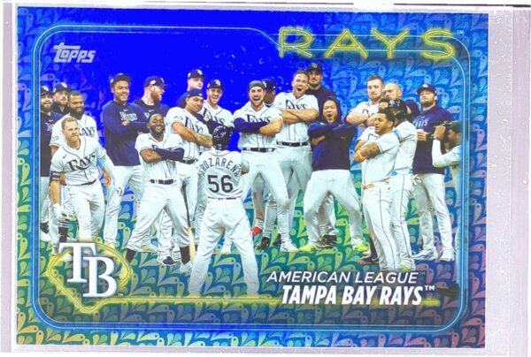 2024 Topps Tampa Bay Rays Holiday #211 Rays